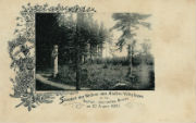 Kaiserhammer pohlednice 031