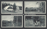 Niederreuth pohlednice 24
