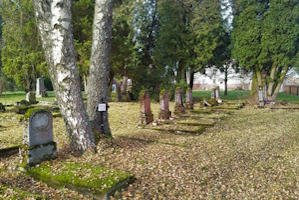Wernersreuther Friedhof November 2025