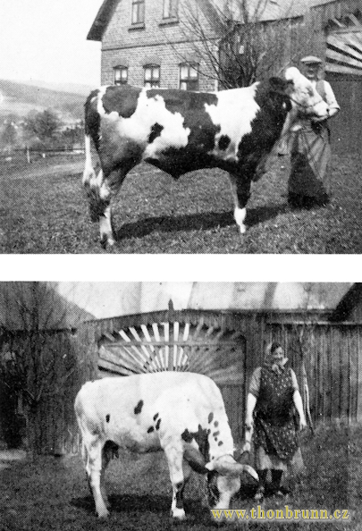 Wernersreuther Bauern